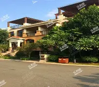 深圳佳兆业队员照片名单